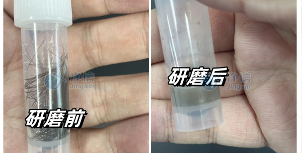 毛發研磨前后效果圖2.jpg